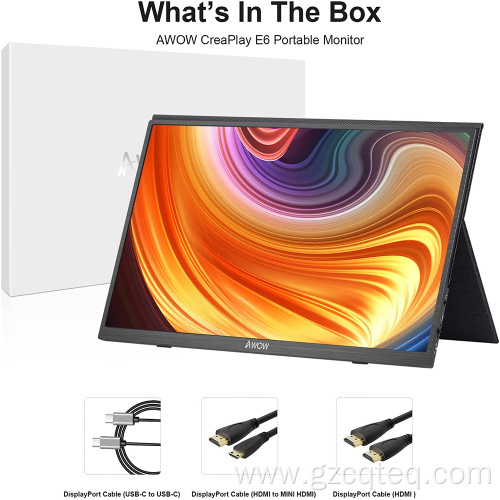 15.6 inch Portable Monitor FHD 1080P IPS